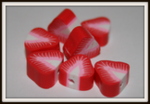Perle polymère "fraise"